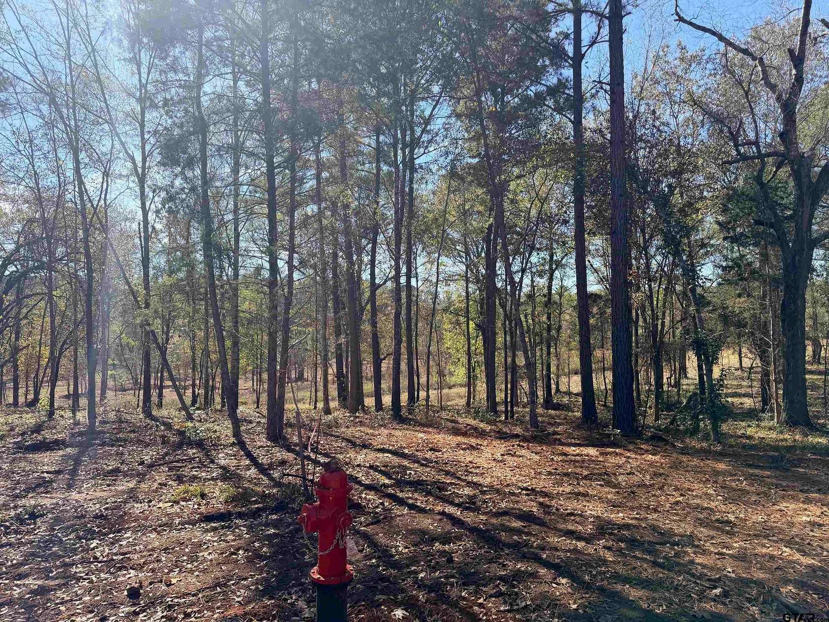 6.82 Acres of Residential Land for Sale in Tyler, Texas