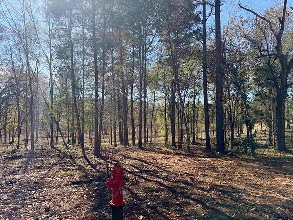 6.82 Acres of Residential Land for Sale in Tyler, Texas