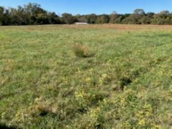 5.5 Acres of Land for Sale in Chesnee, South Carolina