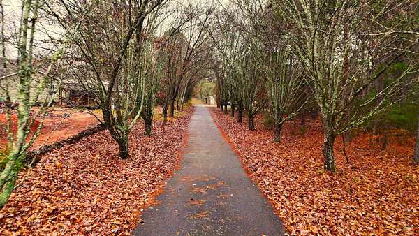 5 Acres of Residential Land with Home for Sale in Chesnee, South Carolina