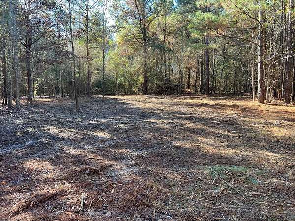 16 Acres of Recreational Land for Sale in Hughes Springs, Texas