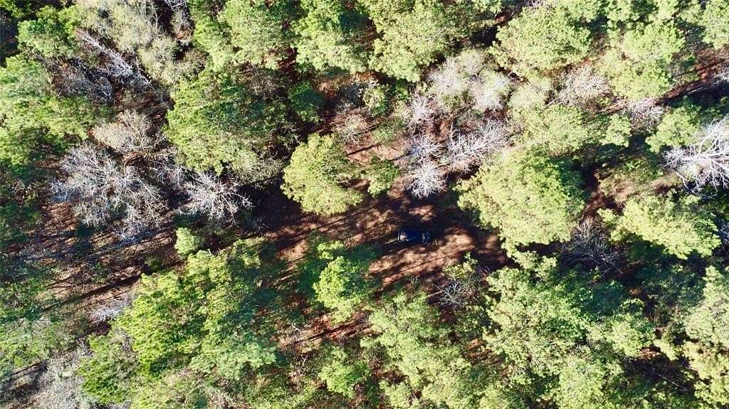 14.2 Acres of Recreational Land for Sale in Hughes Springs, Texas