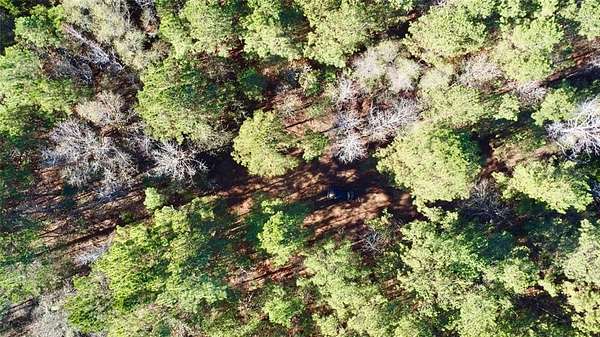 14.2 Acres of Recreational Land for Sale in Hughes Springs, Texas