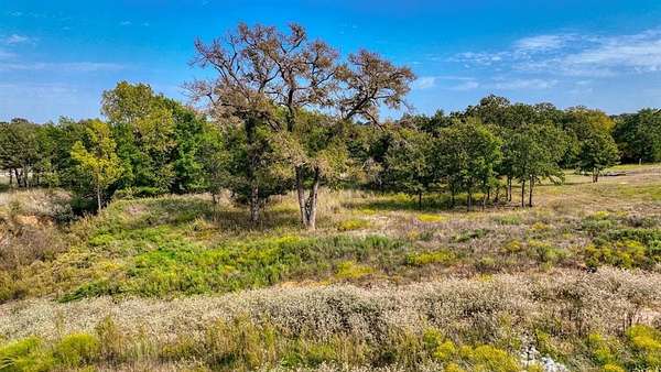 1.54 Acres of Residential Land for Sale in Springtown, Texas