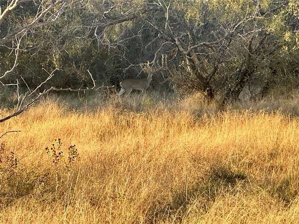 25 Acres of Agricultural Land for Sale in Gordon, Texas