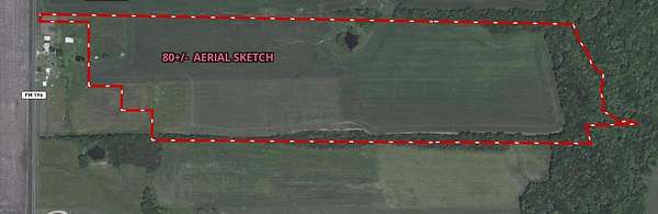 80 Acres of Land for Sale in Blossom, Texas