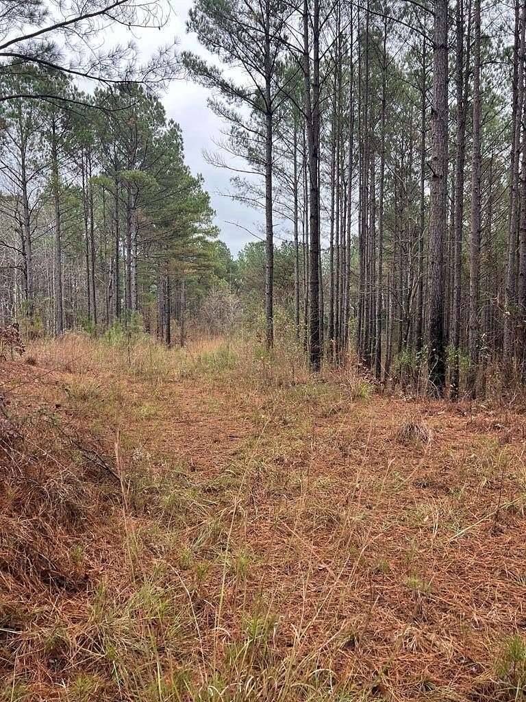 60 Acres of Recreational & Residential Land for Sale in Randolph, Mississippi