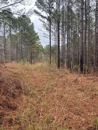 60 Acres of Recreational & Residential Land for Sale in Randolph, Mississippi