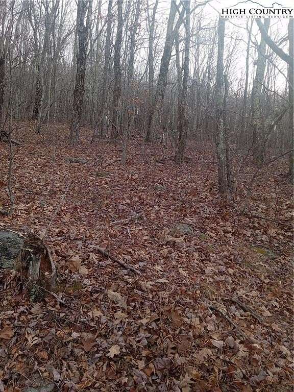 9.5 Acres of Land for Sale in Whitetop, Virginia