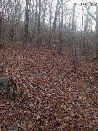 9.5 Acres of Land for Sale in Whitetop, Virginia