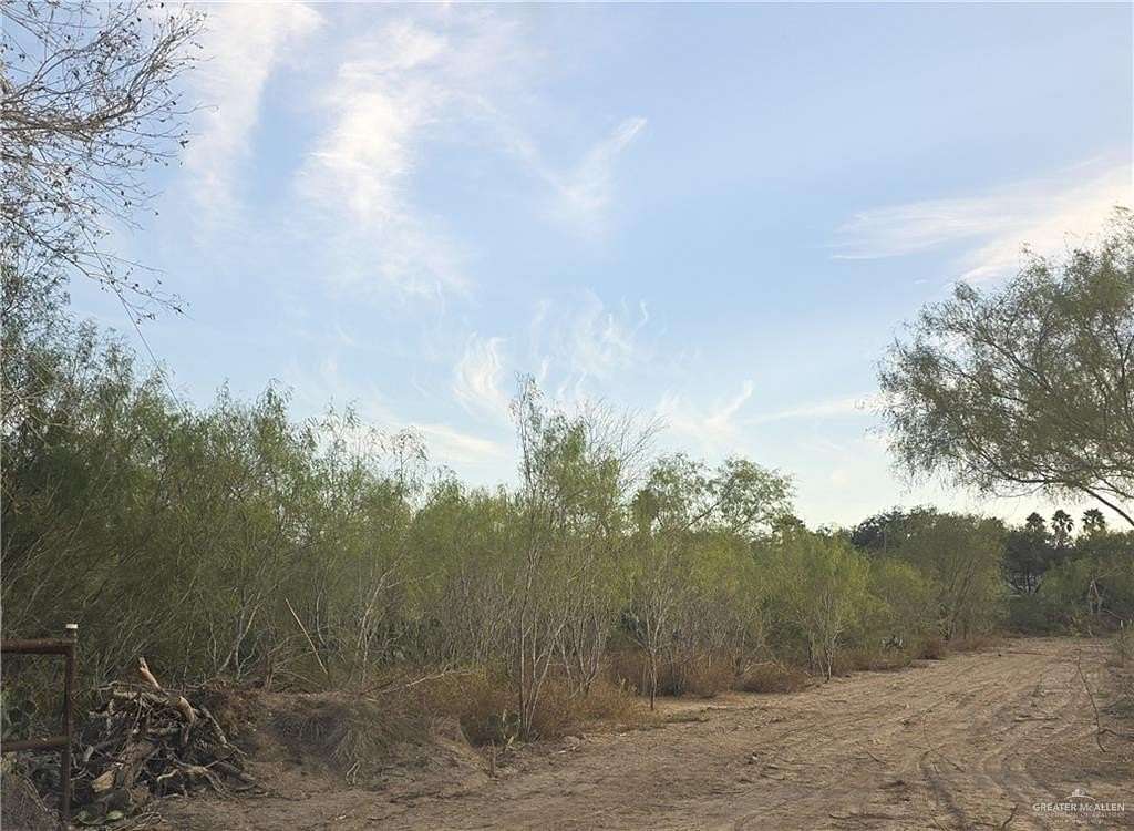 2 Acres of Residential Land for Sale in Alton, Texas