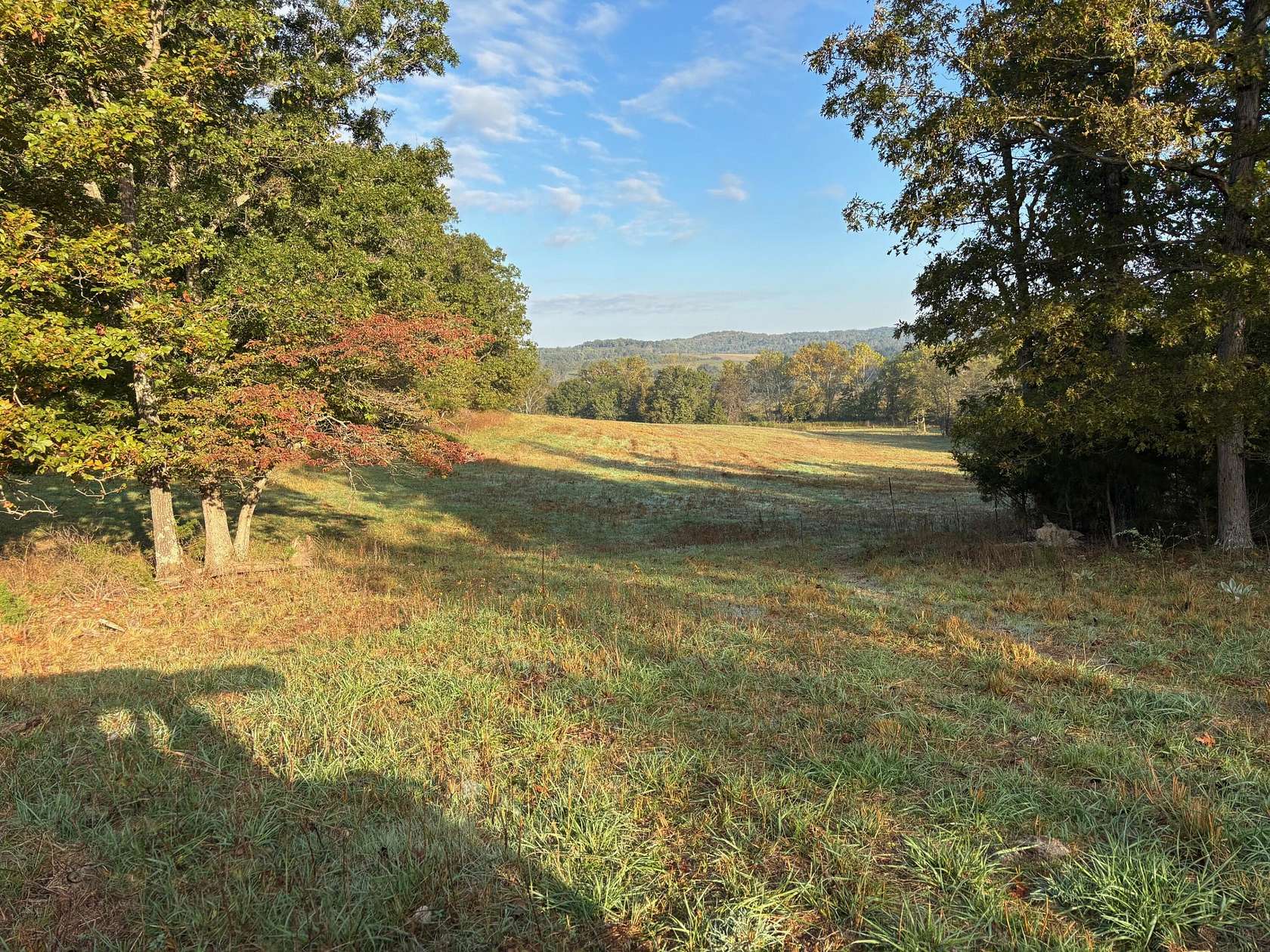 251 Acres of Recreational Land & Farm for Sale in Drury, Missouri