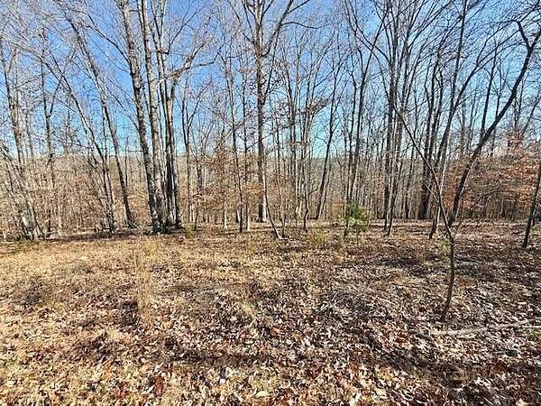 1 Acre of Residential Land for Sale in Moneta, Virginia