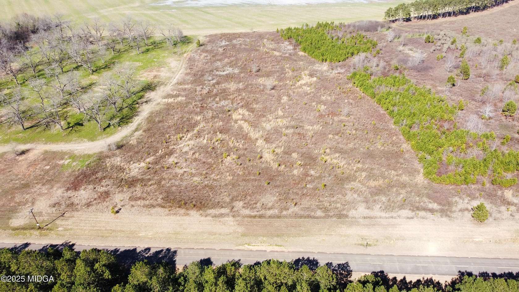 5 Acres of Land for Sale in Elko, Georgia