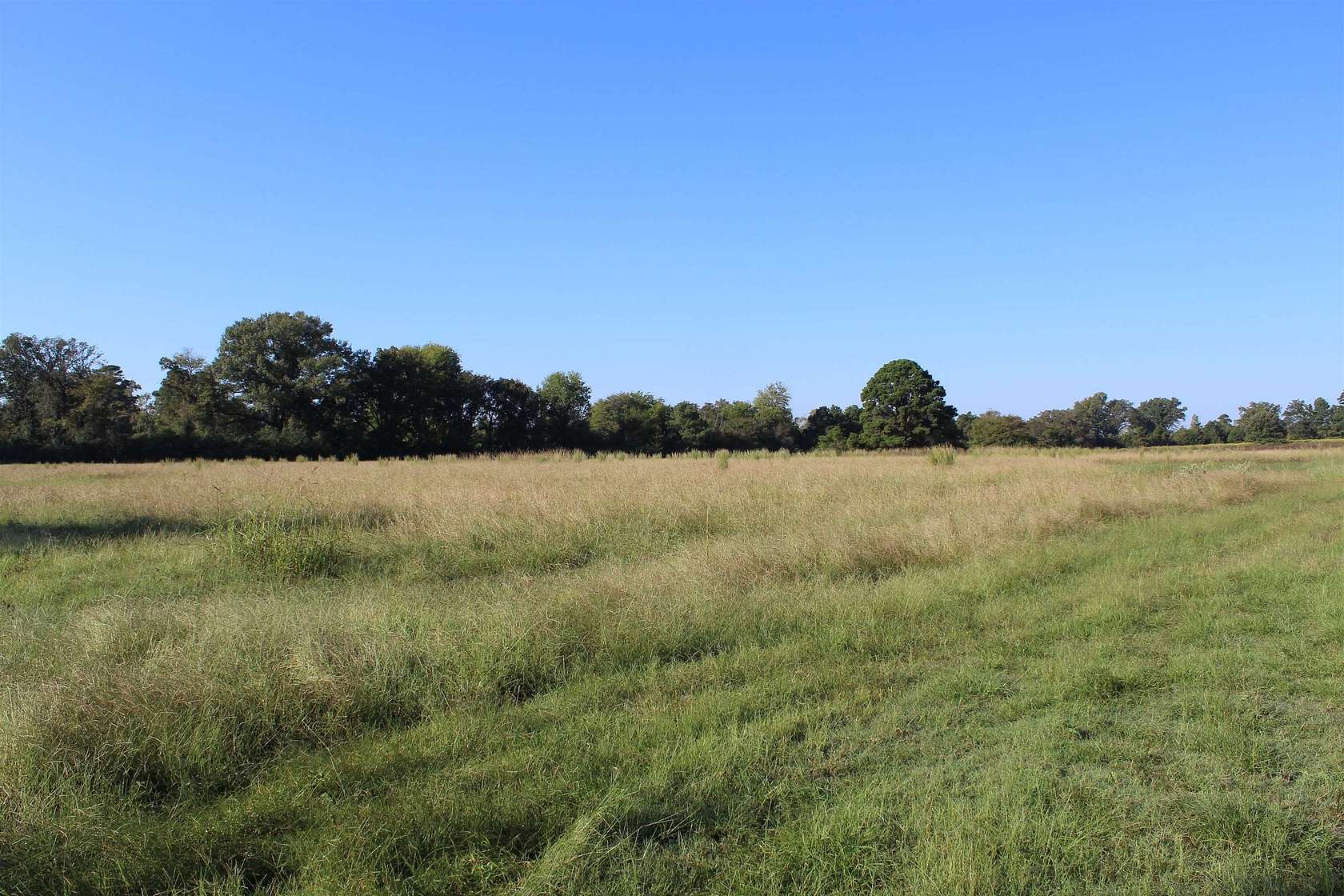 25 Acres of Agricultural Land for Sale in Jefferson, Texas