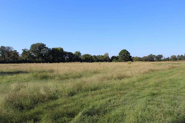 25 Acres of Agricultural Land for Sale in Jefferson, Texas