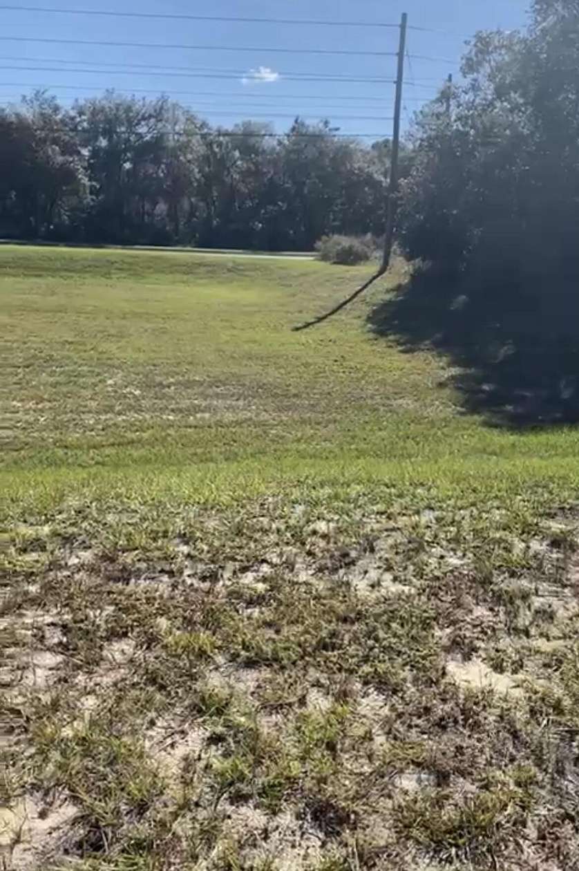 0.33 Acres of Residential Land for Sale in Ocala, Florida