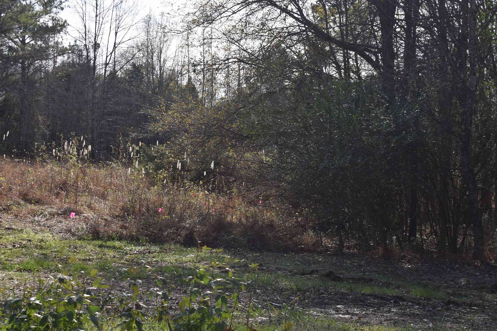 8.53 Acres of Residential Land for Sale in Rossville, Tennessee