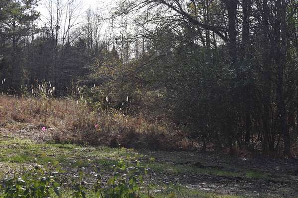 8.53 Acres of Residential Land for Sale in Rossville, Tennessee