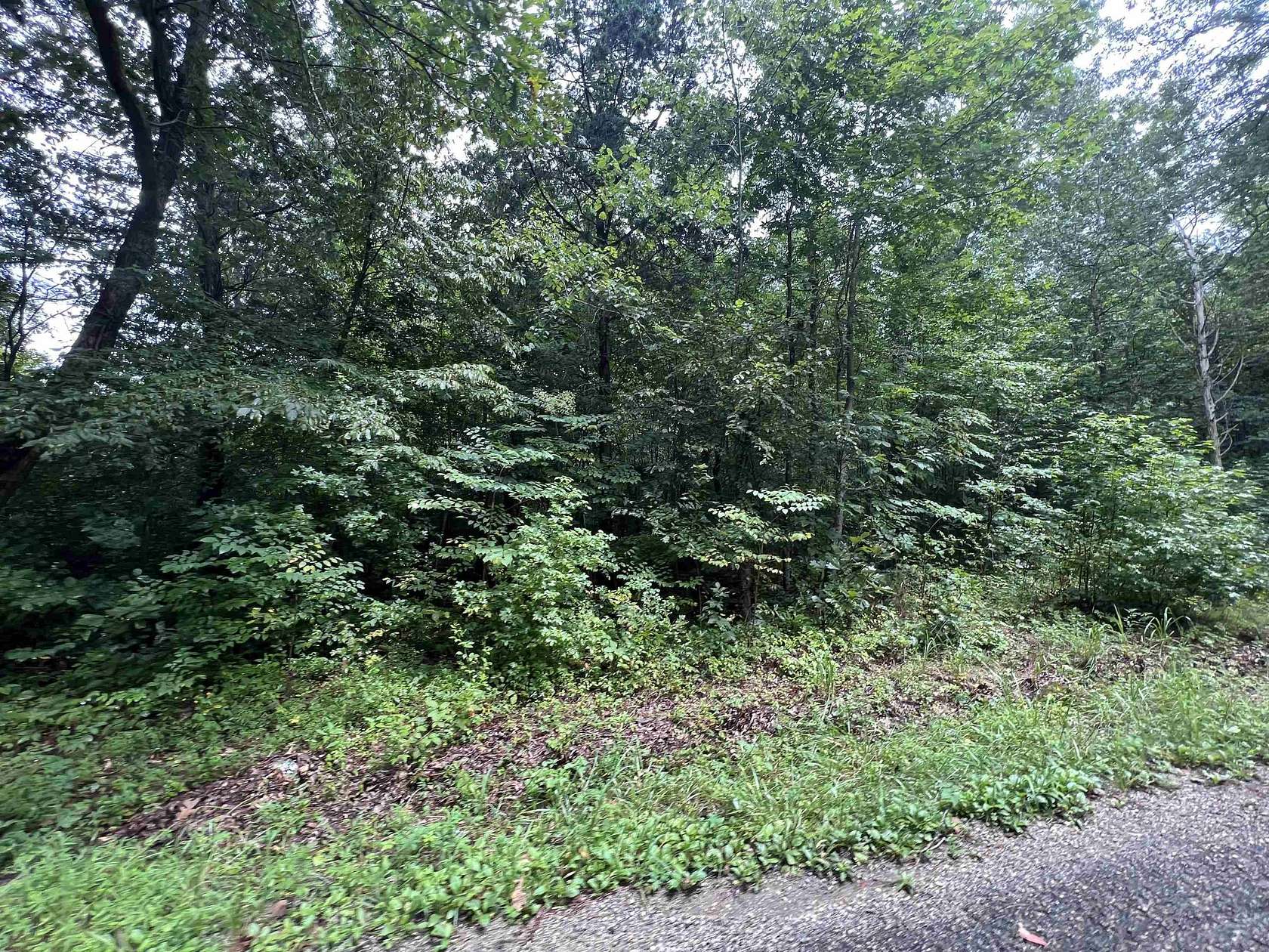 10 Acres of Recreational Land for Sale in Huron, Tennessee