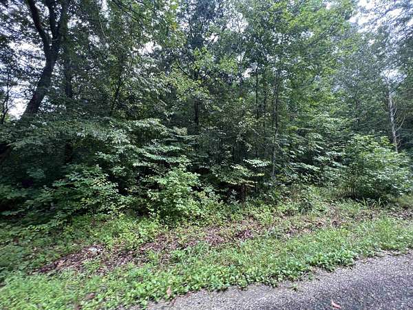 10 Acres of Recreational Land for Sale in Huron, Tennessee