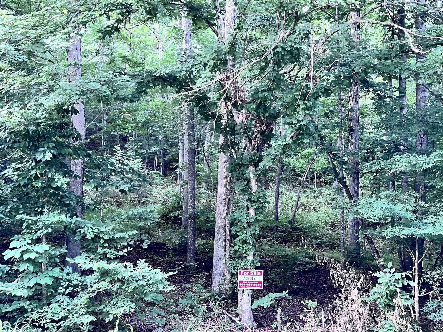 5 Acres of Land for Sale in Lobelville, Tennessee