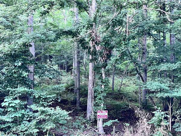 5 Acres of Land for Sale in Lobelville, Tennessee