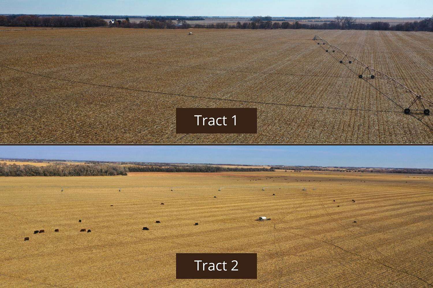 375 Acres of Land for Sale in Archer, Nebraska
