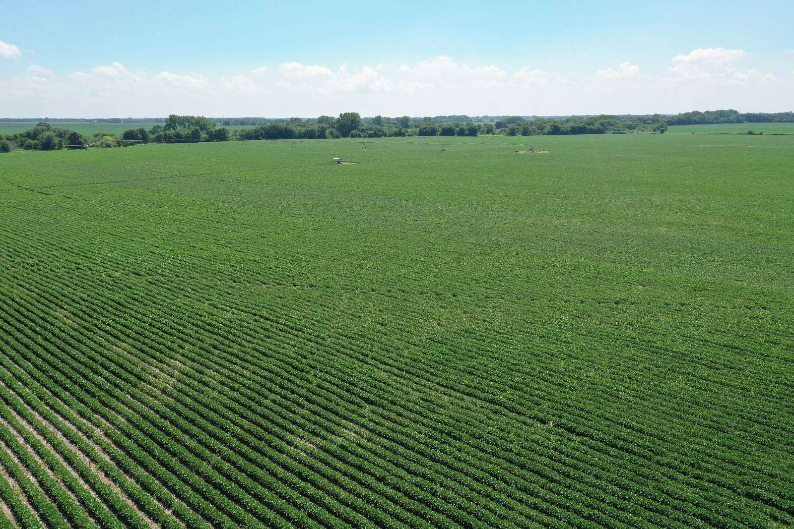 375 Acres of Land for Sale in Archer, Nebraska