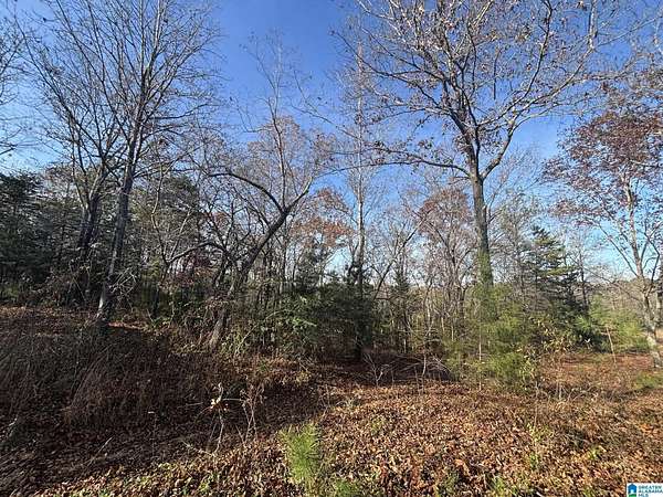 30 Acres of Land for Sale in Talladega, Alabama