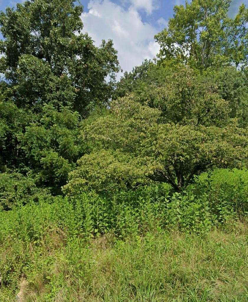 0.75 Acres of Residential Land for Sale in Louisa, Kentucky