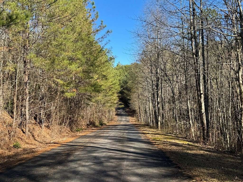 3 Acres of Land for Sale in Ellijay, Georgia