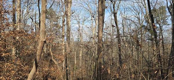 2.26 Acres of Residential Land for Sale in Ball Ground, Georgia