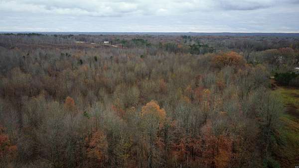 43.4 Acres of Recreational Land for Sale in Dresden, Tennessee