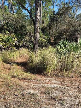 7.24 Acres of Land for Sale in Frostproof, Florida