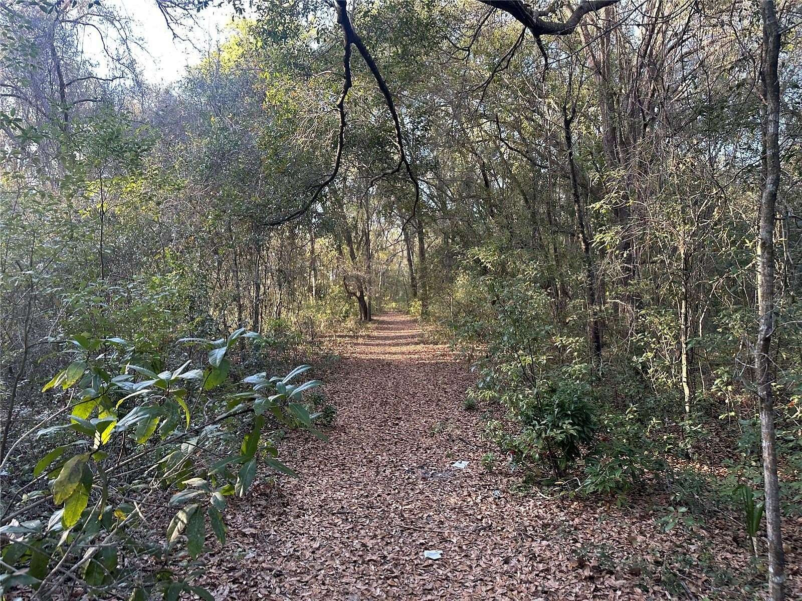 12.2 Acres of Land for Sale in Leesburg, Florida