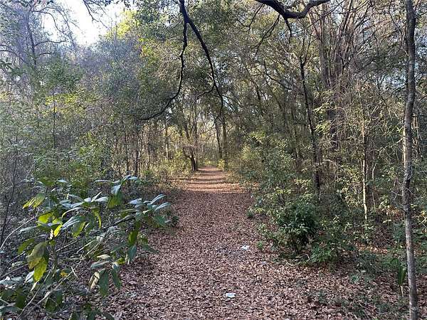 12.2 Acres of Land for Sale in Leesburg, Florida