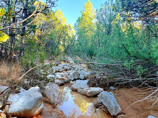 228 Acres of Recreational Land & Farm for Sale in Tijeras, New Mexico