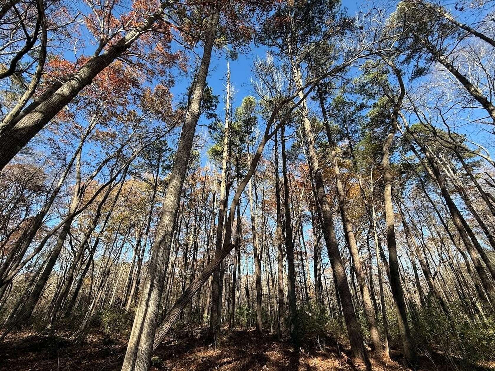 8.33 Acres of Land for Sale in Pittsboro, North Carolina