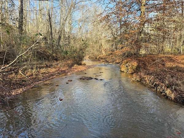 34 Acres of Recreational Land for Sale in Heflin, Alabama