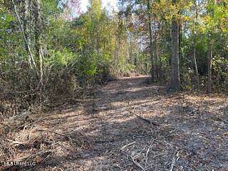 16.3 Acres of Land for Sale in McComb, Mississippi