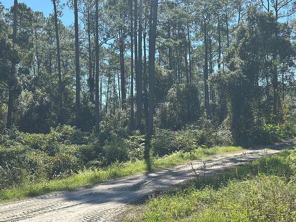 0.34 Acres of Residential Land for Sale in DeLand, Florida