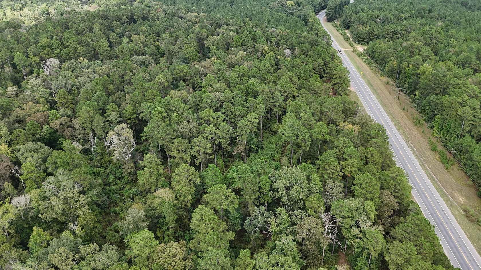 67 Acres of Land for Sale in Trout, Louisiana