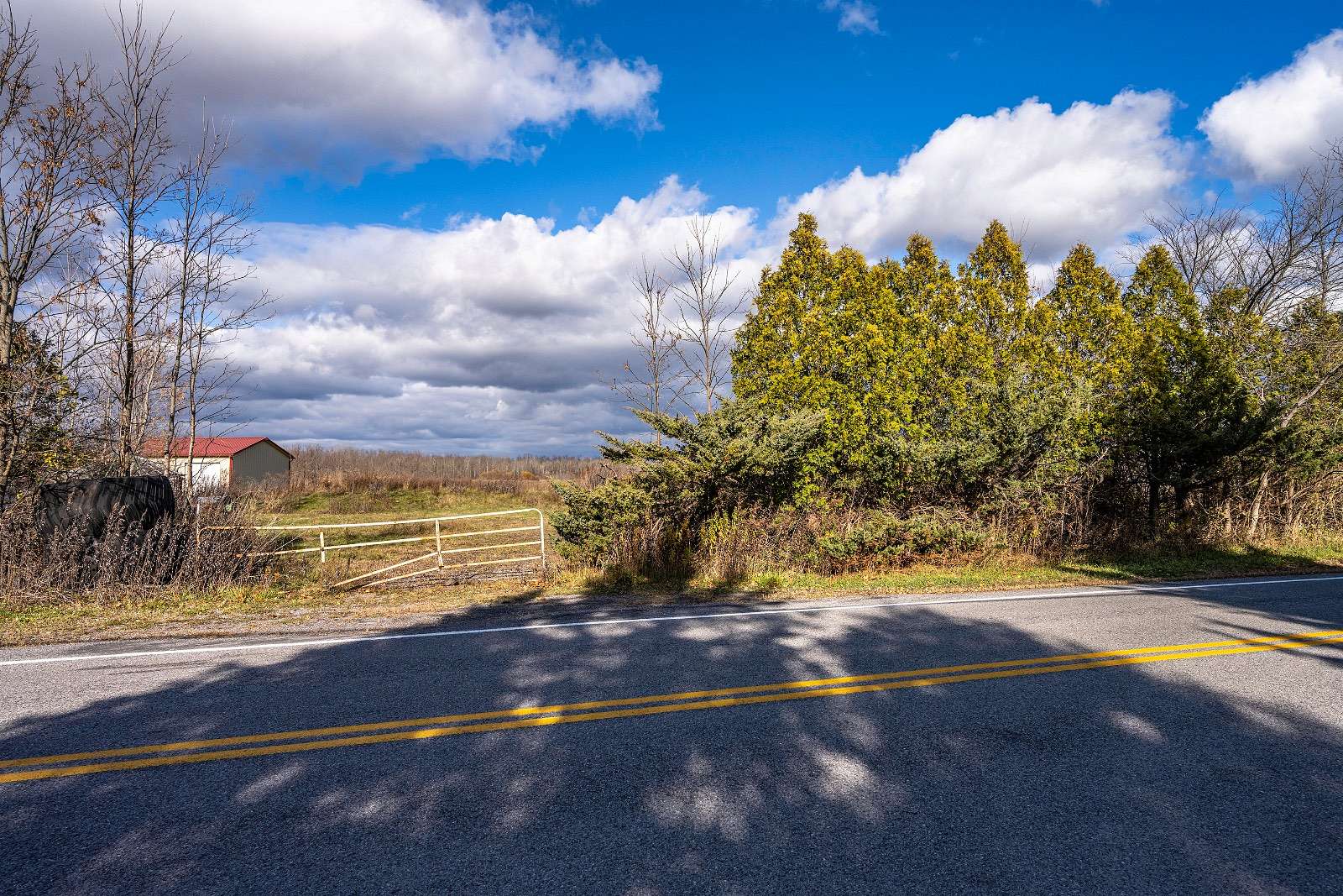 32 Acres of Land for Auction in Alden, New York