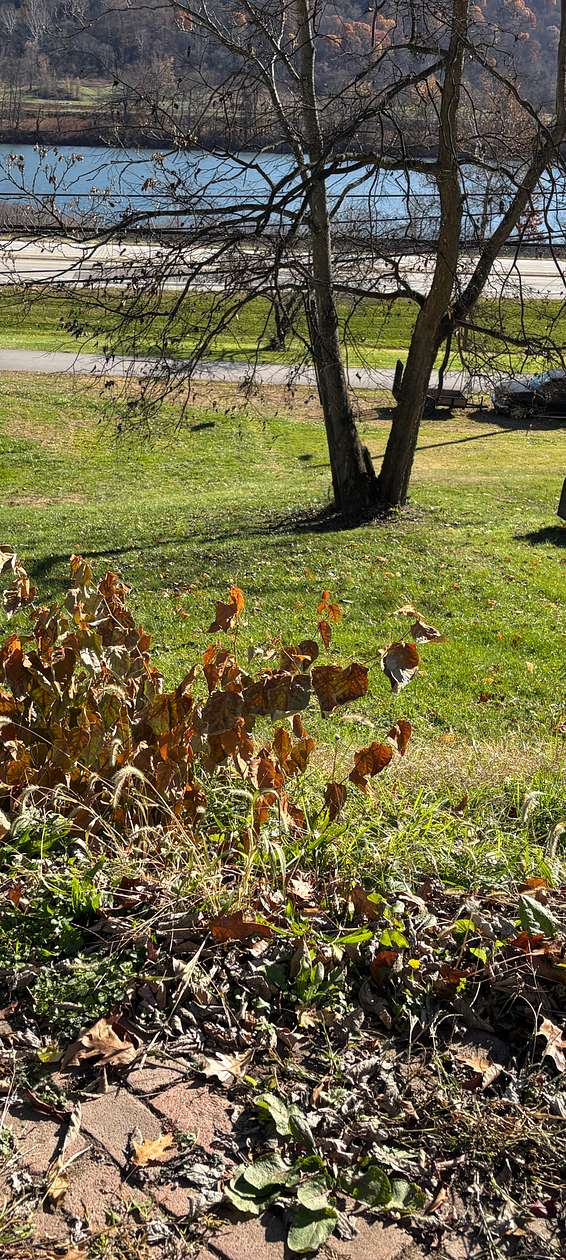 0.07 Acres of Land for Sale in Clarington, Ohio