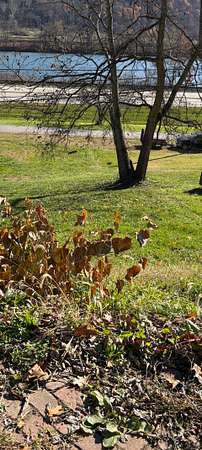 0.07 Acres of Land for Sale in Clarington, Ohio