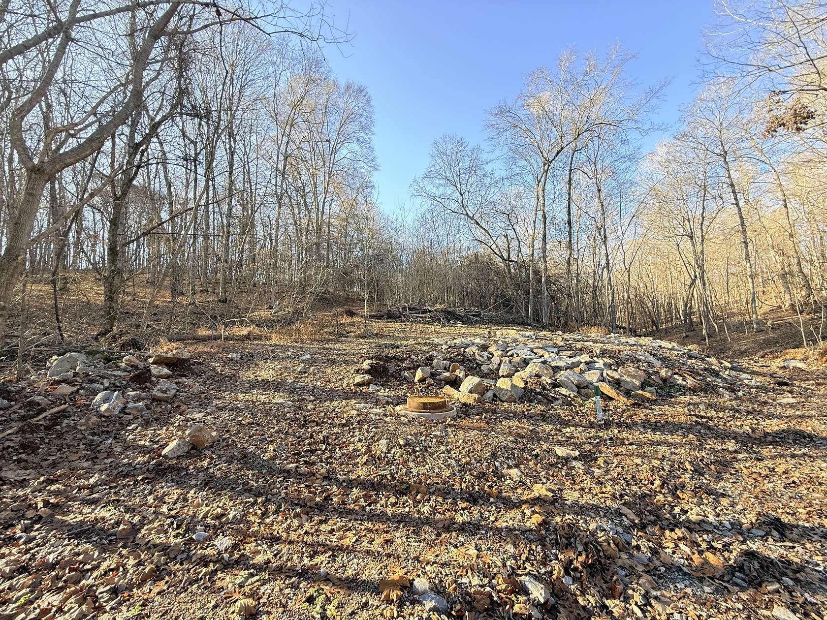 31.4 Acres of Agricultural Land for Sale in Clarksville, Tennessee