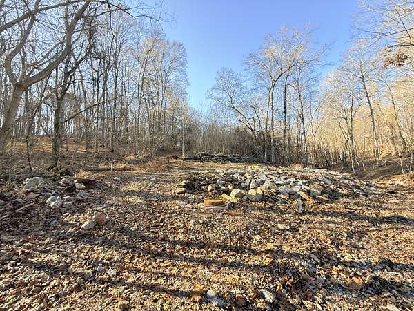 31.4 Acres of Agricultural Land for Sale in Clarksville, Tennessee