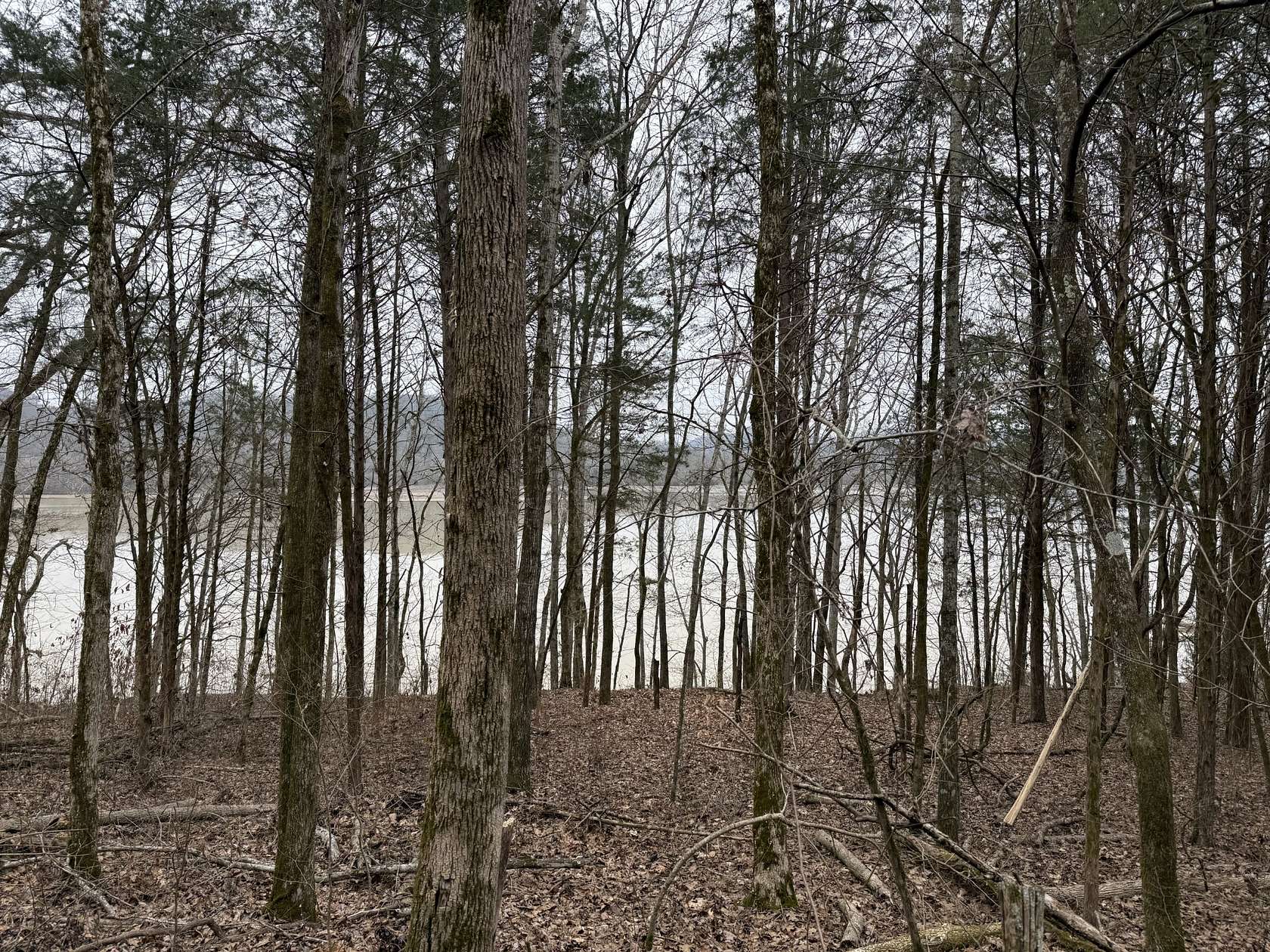 37.9 Acres of Recreational Land for Sale in Gainesboro, Tennessee