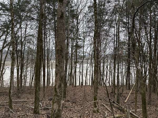 37.9 Acres of Recreational Land for Sale in Gainesboro, Tennessee